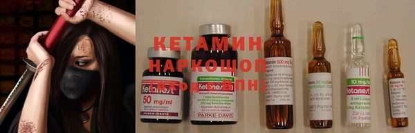 стафф Алзамай