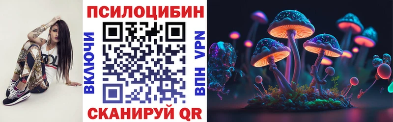 Купить где  Владивосток  Галлюциногенные грибы мицелий 